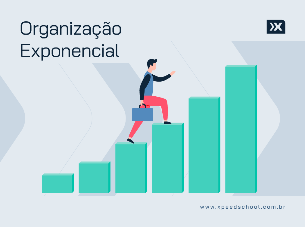 Organização Exponencial